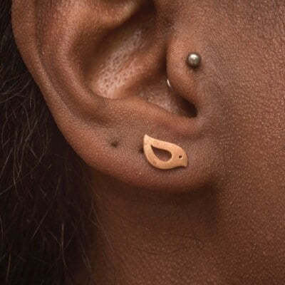 Royal Mile Silver - Wee Bird Studs